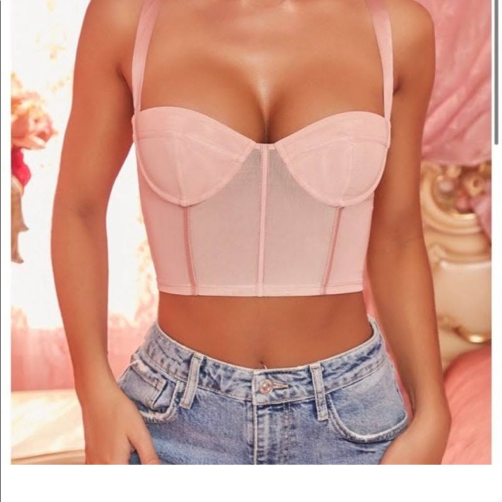 Love Letter Mesh Underwired Corset Crop Top in Blush . Like New, never worn